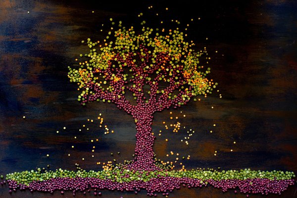 Comment les murs végétaux intérieurs peuvent-ils améliorer la qualité de l'air dans les bureaux?